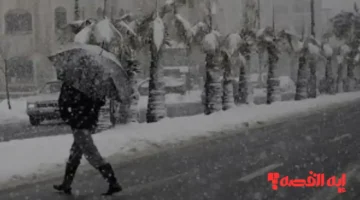 الجزائر تنتظر.. أمطار رعدية وثلوج تغطي 12 ولاية حتى فجر 2026